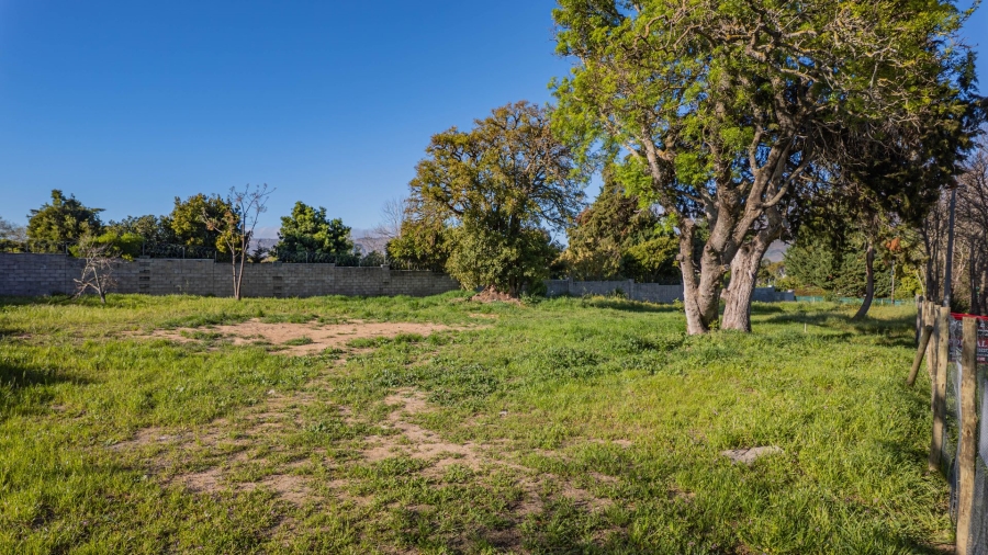 0 Bedroom Property for Sale in Belle Constantia Western Cape